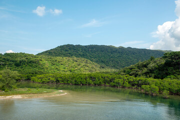 沖縄県　西表島　西表自然休養林