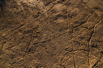 Dusty Golden Rocky Granite Texture