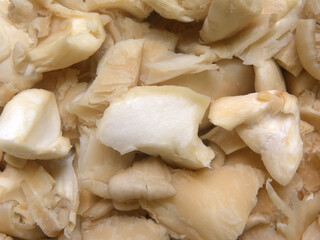 Diced cut raw fresh oyster mushroom