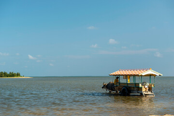 沖縄県　西表島の由布島へ渡す牛車