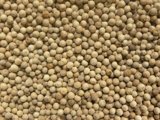 White color raw whole dried pepper