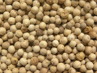 White color raw whole dried pepper