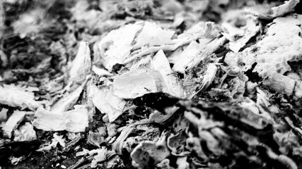 white wood burning charcoal texture