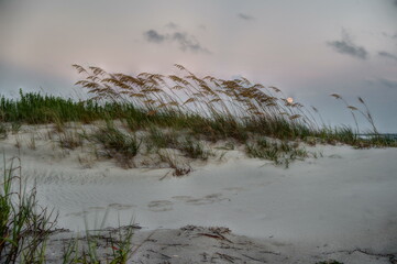 Grass Blowing in the Wind as Full Moon Rises