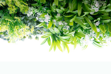 Border Frame made of Green leaves and plants on white background.