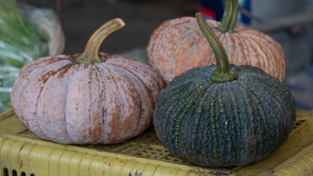 3 pumpkins that are sold on the market and can be made into a variety of foods