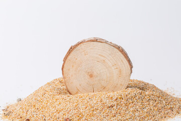 Tree stumps and annual rings on a white background