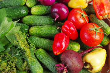 Cucumbers, tomatoes, onions, beetroot and peppers. Close-up.