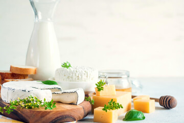 Various cheese on a board, milk, cottage cheese and honey
