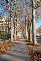 Paris path in autumn park
