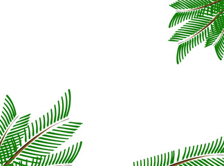 modern palm leaf background design