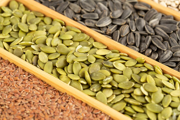 Various kind of seeds