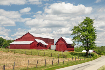Beautiful red barns with gleaming metal roofs stand on a farm under a cloudy blue sky in this bucolic country scene in rural Indiana. - obrazy, fototapety, plakaty