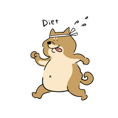 ダイエットする柴犬