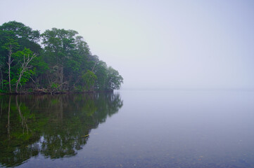 静まり返った湖面に映る湖畔の森。屈斜路湖、北海道、日本。