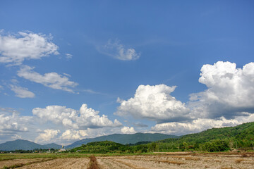 The white clouds have a strange shape and country side.Cloudy and blue sky