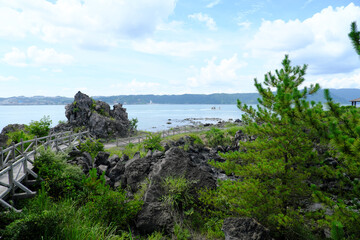 なぎさ公園の整備された遊歩道