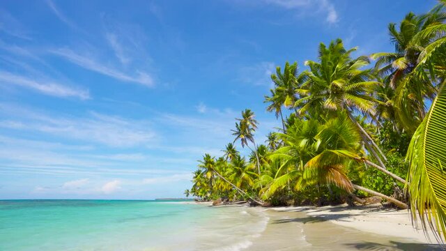 Hawaii island in sunny summer day. Palm trees, clear beach, and turquoise clean sea and sky.