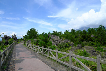 Fototapeta na wymiar 桜島の見えるのどかな溶岩なぎさ公園の遊歩道