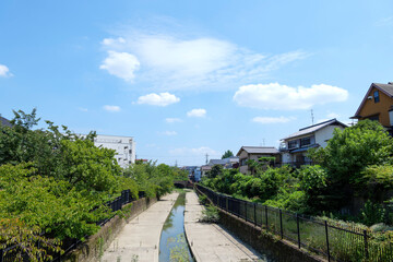Fototapeta premium A view of a river on a clear day in summer in Japan