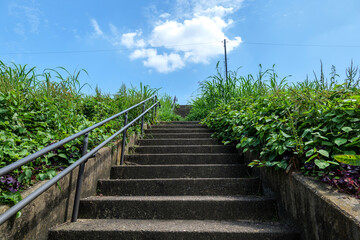 Plakat Stone steps on a riverbed on a sunny summer day
