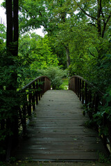 Obraz premium wooden bridge in the forest