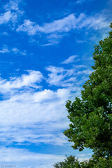 Obraz premium sky and clouds