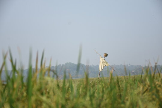 Machtposition Bilder Durchsuchen 140,407 Archivfotos,