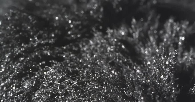 Motion Metallic Powder Under the Influence of a Magnetic Feld. Macro.