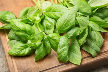 Fresh basil on wooden background, closeup