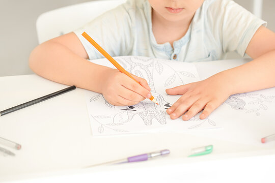 Cute little boy coloring pictures at home
