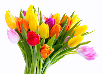 bouquet of colorful tulips