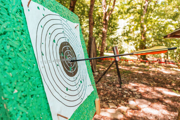 Target for archery, with an arrow in the bull's-eye. Forest in the background. Side view. Close up