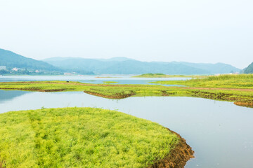 Peaceful and beautiful lake and green field background blue sky,early summer morning landscape.