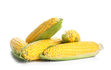 Fresh corn cobs on white background