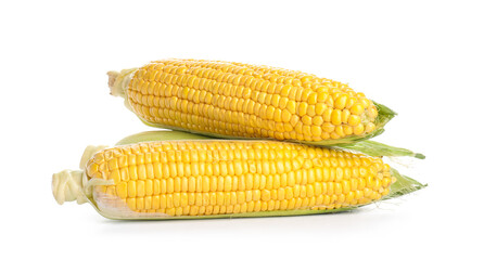 Fresh corn cobs on white background