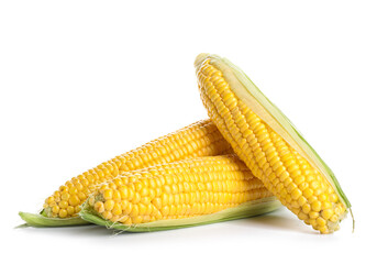 Fresh corn cobs on white background