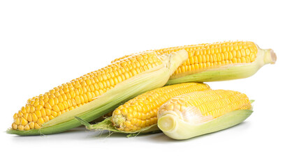 Fresh corn cobs on white background