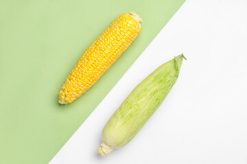 Fresh corn cobs on color background