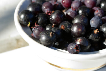 black currant in a bowl
