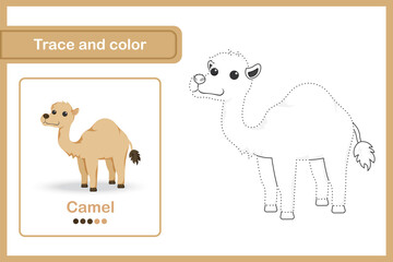 Drawing worksheet Trace and colour : Camel