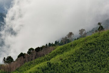 Fototapeta premium Mountain landscape-Mountain View Resort in the Hsinchu,Taiwan.