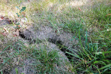 Crack in earth due to prolonged drought in the yard of a Romanian farmer.