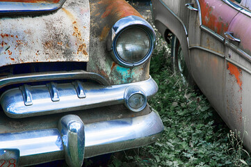 Abandoned and rusting vintage cars discovered in field