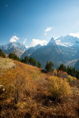 Obraz premium The mountains of Dombai. The tops of the mountains are covered with snow, the bright autumn sun shines, in the foreground conifers and dry grass.