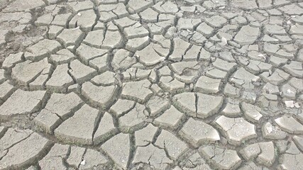 dry cracked earth