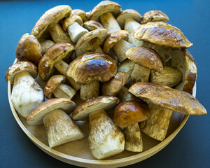 Plate with fresh forest mushrooms