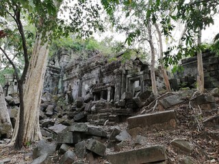 Fototapeta na wymiar Beng Mealea was built as a Hindu temple. Its primary material is sandstone, with trees and thick brush thriving amidst its towers and courtyards and many of its stones lying in great heaps. 