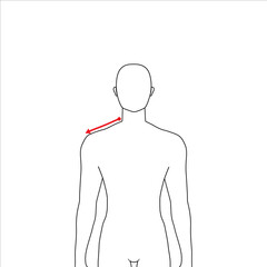 Men to do shoulder measurement fashion Illustration for size chart. 7.5 head size boy for site or online shop. Human body infographic template for clothes. 