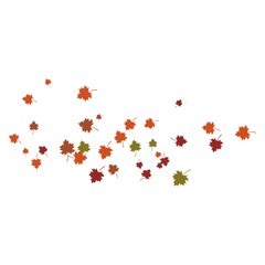 Autumn Leaf background